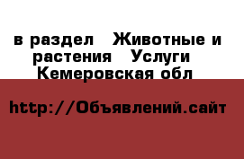  в раздел : Животные и растения » Услуги . Кемеровская обл.